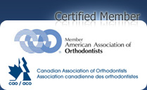 american association of orthodontists